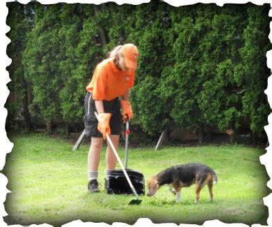 dog waste removal san anselmo|The Doo Doo Crew .